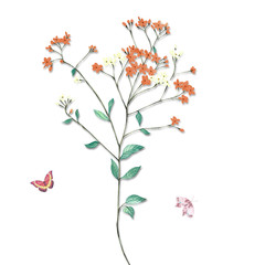 Watercolor set beautiful bouquets