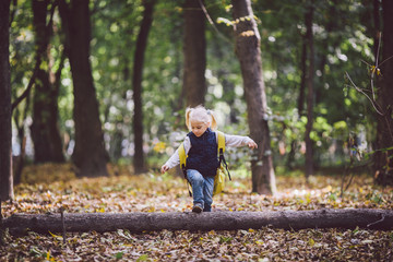 The theme children outdoor activities. Funny little baby Caucasian blond girl walks through forest overcoming obstacles, tree fell, log. Baby hiking big funny backpack in autumn forest park