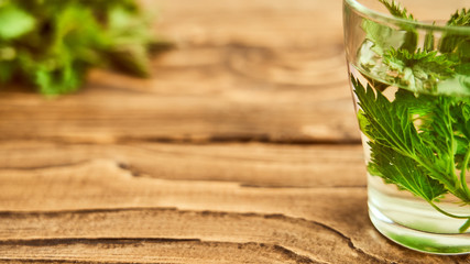 on a wooden background is a glass with brewed young nettles. medicinal broth of nettle. vitamin herbal tea. tincture of nettle