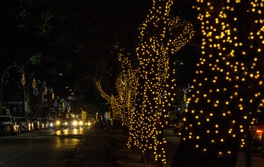 Natal São João Da Boa Vista SP
