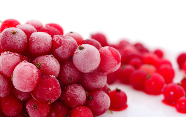 Redcurrant berries.Frosted.