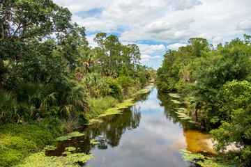 Fototapeta na wymiar beautiful tree lined canal in Florida