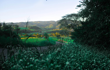 Serra Da Paulista (2)