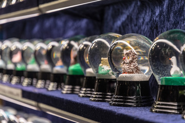 Snow globes on a shelf with one snow globe with owl in front