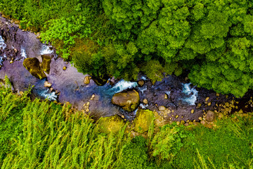 Bach und Bäume auf den Azoren aus der Luft