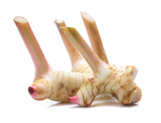 Fresh slices galangal rhizomes isolated on white background