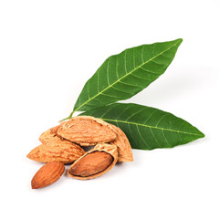 Dry Almonds nuts with shell on white background ,health food.