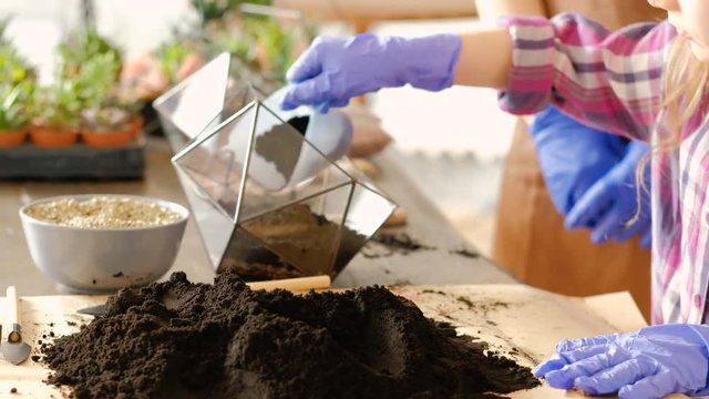 DIY florarium. New creative hobby. Home gardening master class. Little girl pouring soil into glass geometric shape vase.