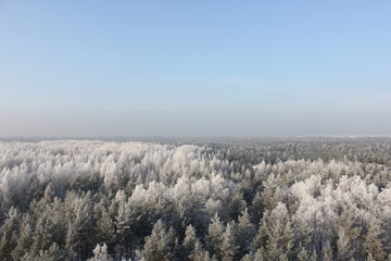 Obraz na płótnie Canvas landscape in winter