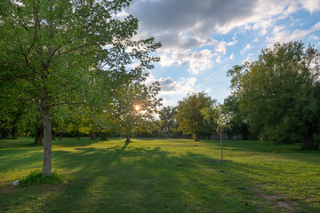 Beautiful backlighted trees in a sunny day with green grass meadow and blue sky with clouds