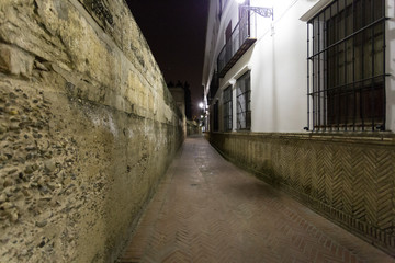 View of Seville City