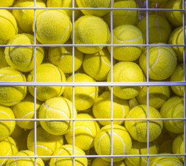 Tennis Balls in Cage