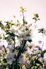 10. Frühlingsgefühl