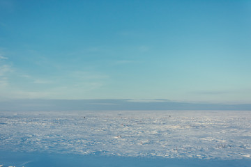 Fototapeta na wymiar winter tundra