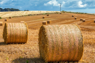 Hay Bales drying in a field in the sun