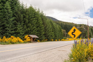 View of the classic 40 route near Villa la Angostura, Argentina, with a yellow sign and blooming brooms, a pine tree forest and a wooden bus stop on the bachground