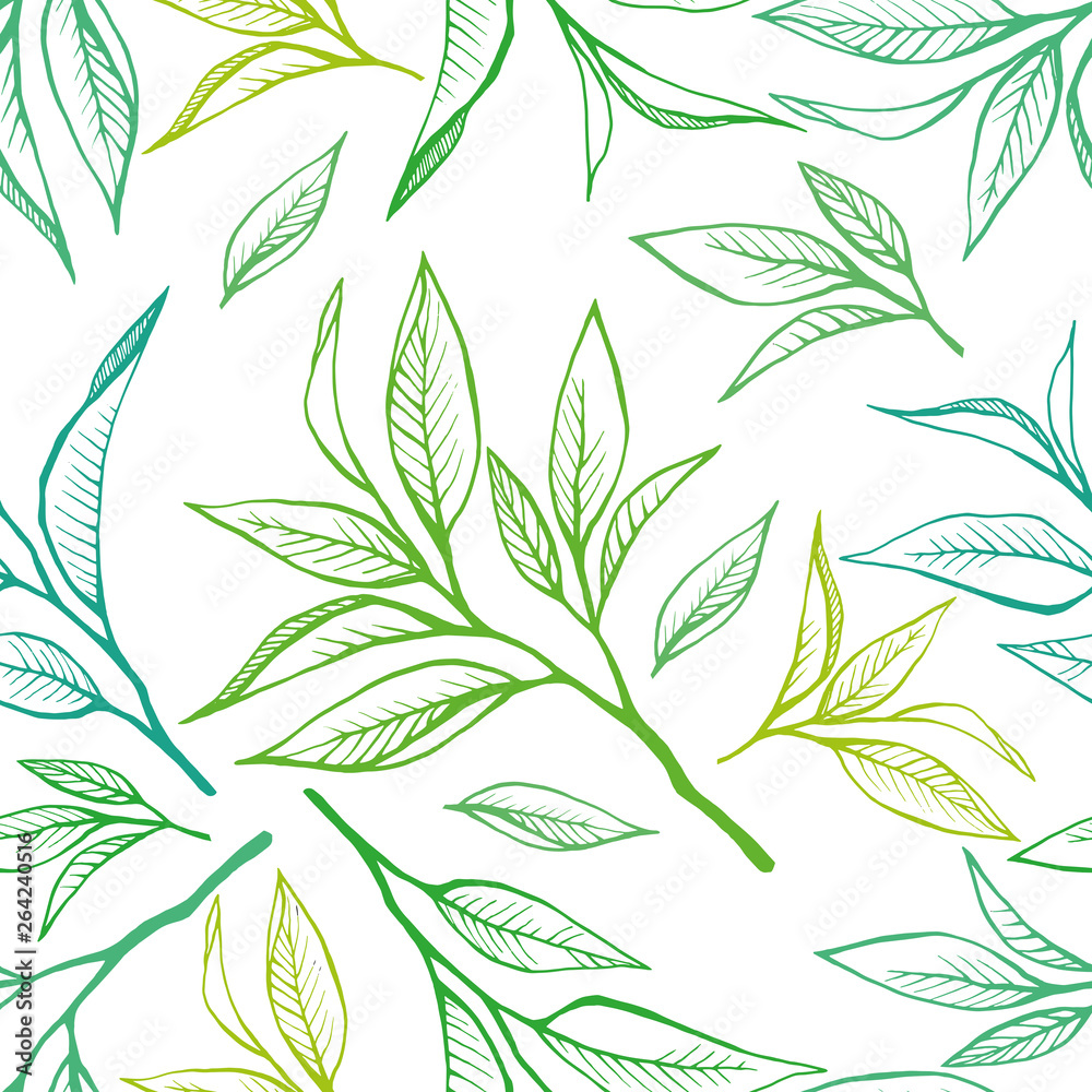 Wall mural floral seamless pattern with tea leaves in sketch style. hand drawn tea leaves background. vector il