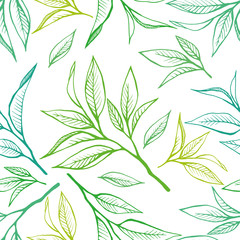 Floral seamless pattern with tea leaves in sketch style. Hand drawn tea leaves background. Vector illustration on white. For textile, paper, decoration and wrapping