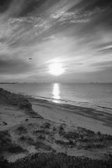 Black and white seascape with the sun in the center