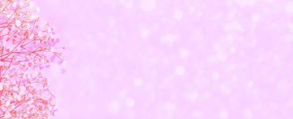 Natural floral background of bright daisy flowers