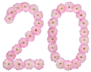 Numeral 20, twenty, from natural pink flowers of almond tree, isolated on white background