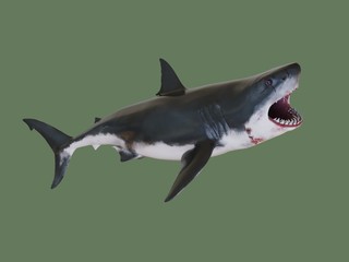 Shark killer. 3d illustration
