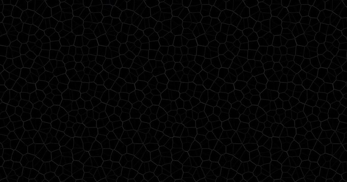 Lines and dots connecting together on black background. Polygons moving as cells and organic life elements in a liquid flow.