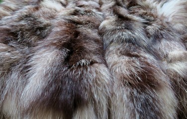 natural fur gray white with black stripes