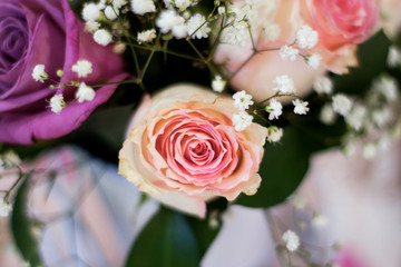 Flores