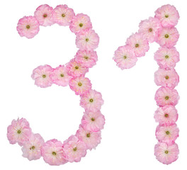 Numeral 31, thirty one, from natural pink flowers of almond tree, isolated on white background