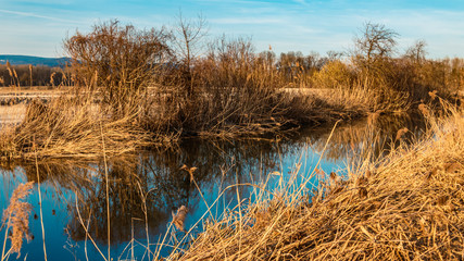 Beautiful winter view near Osterhofen-Danube-Bavaria-Germany