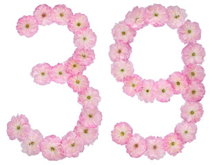 Numeral 39, thirty nine, from natural pink flowers of almond tree, isolated on white background