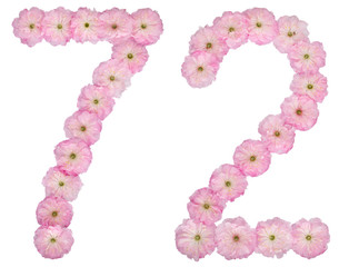 Numeral 72, seventy two, from natural pink flowers of almond tree, isolated on white background