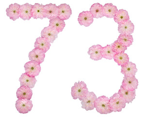 Numeral 73, seventy three, from natural pink flowers of almond tree, isolated on white background