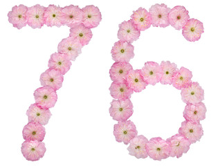 Numeral 76, seventy six, from natural pink flowers of almond tree, isolated on white background