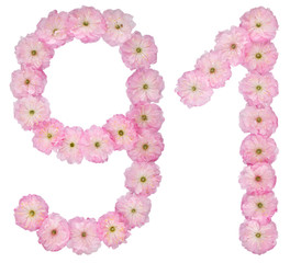Numeral 91, ninety one, from natural pink flowers of almond tree, isolated on white background