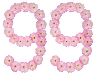 Numeral 99, ninety nine, from natural pink flowers of almond tree, isolated on white background