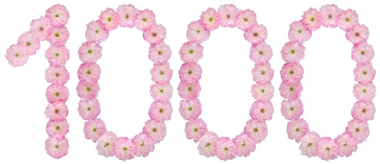 Numeral 1000, one thousand, from natural pink flowers of almond tree, isolated on white background