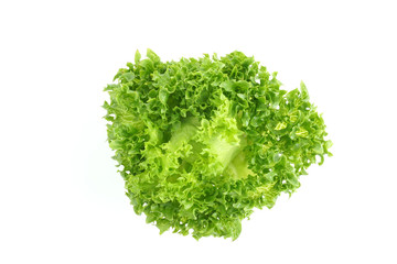 Organic Hydroponics Vegetable for salad  green frillice iceberg lettuce leaf  isolated on white...