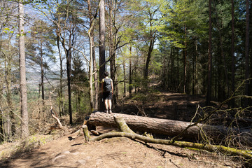 Dahnerfelsenland pfalz
