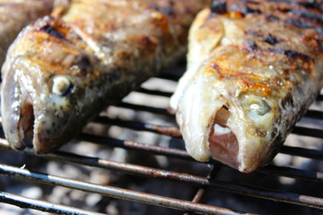 Forellen auf dem Grill