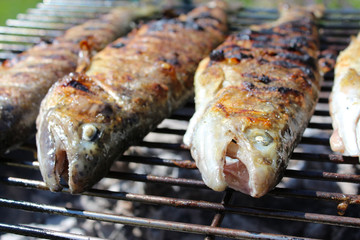 Forellen auf dem Grill