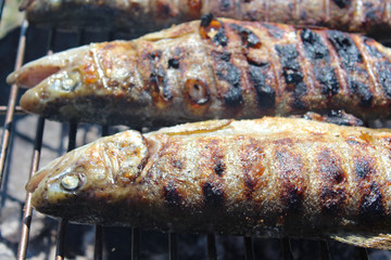 Forellen auf dem Grill