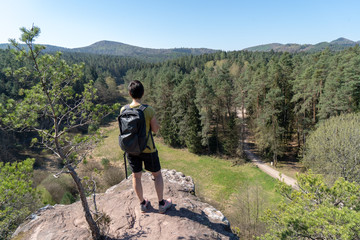 Dahnerfelsenland pfalz