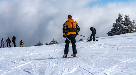 Skiers on the piste among white snow covered trees and landscape.