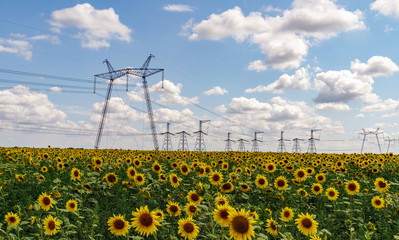 High power electricity poles in urban area. Energy supply, distribution of energy, transmitting...