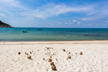 Coconuts on Bottle Beaach Koh Phangan