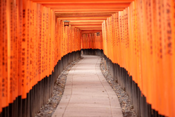 Red Torii gates in Fushimi Inari shrine