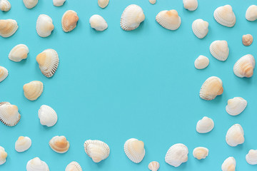 Seashells with copy space for text on blue paper background. Top view Template for your design