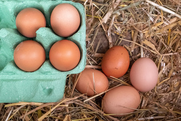 A close up of a collection of brown free range chickens eggs, 4 in a box and 4 still to be collected sitting on a bed of straw.